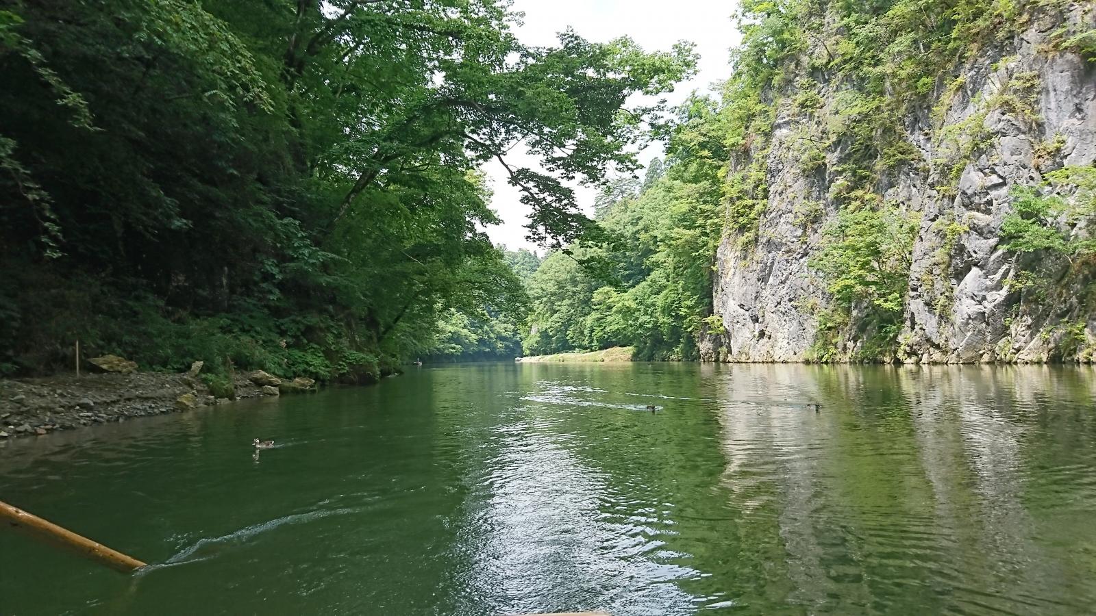 旅探 たびたん 猊鼻渓