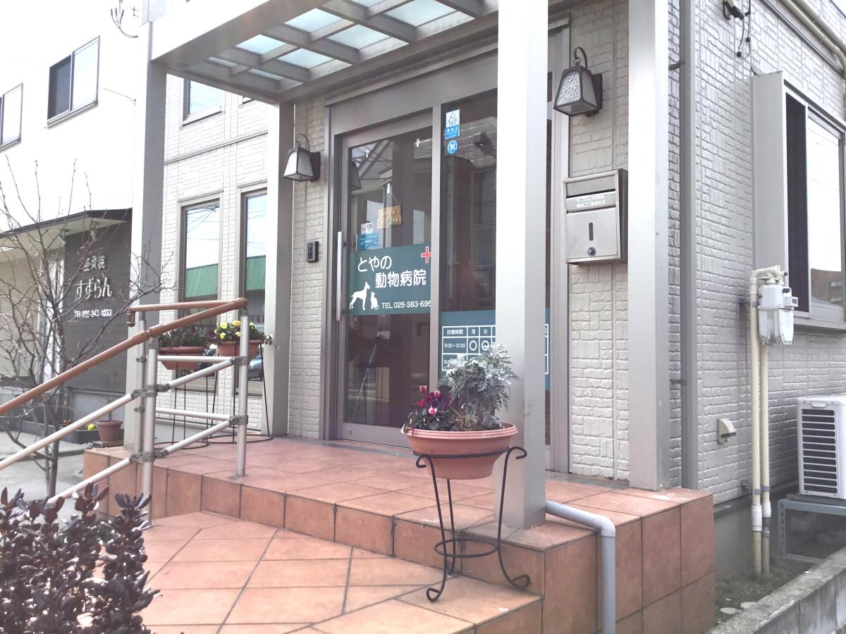 【ドッグメディカル】とやの動物病院（新潟市中央区堀之内）