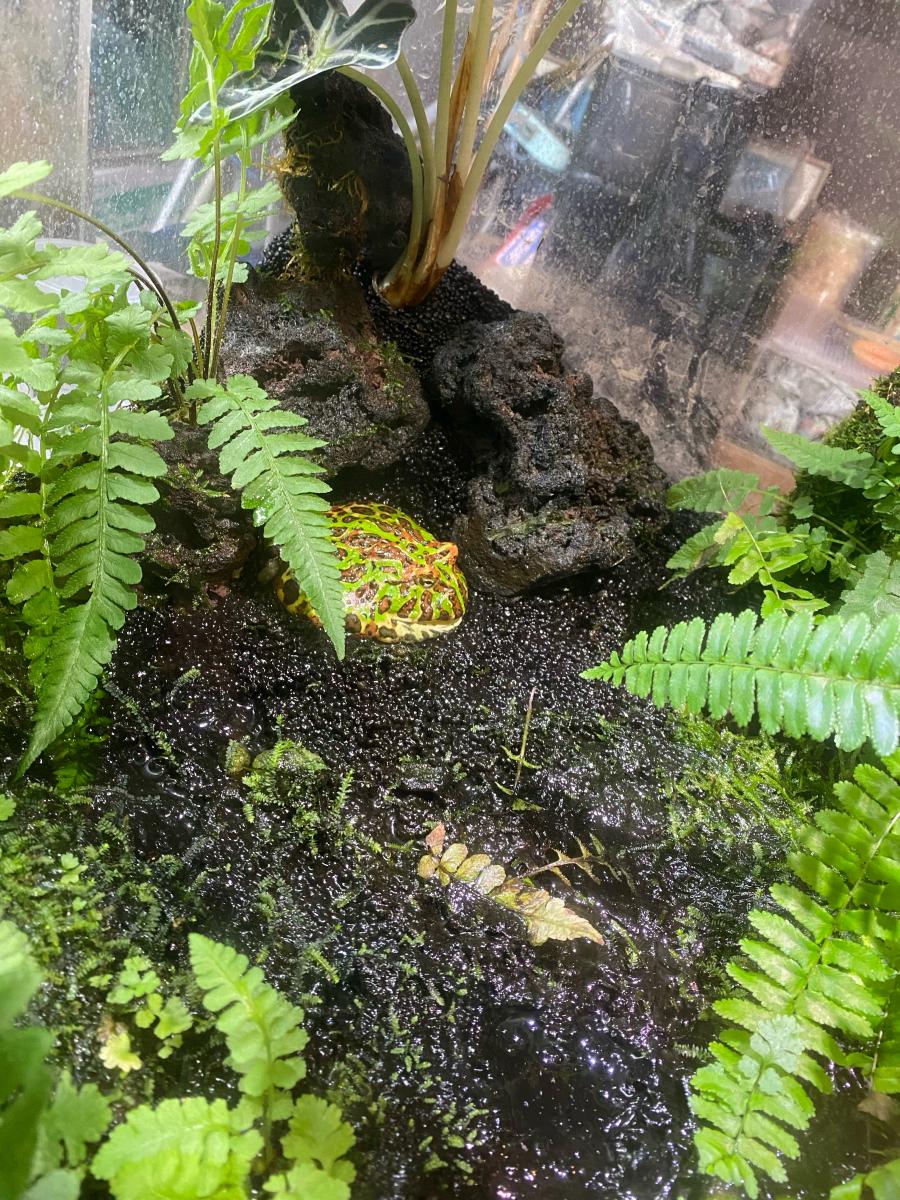 旅探 たびたん 伊勢シーパラダイス 伊勢夫婦岩ふれあい水族館シーパラダイス 伊勢市二見町江