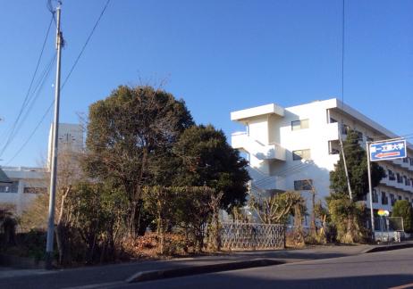 柔整ナビ 鹿児島第一医療リハビリ専門学校 霧島市 周辺施設 口コミ 写真 動画