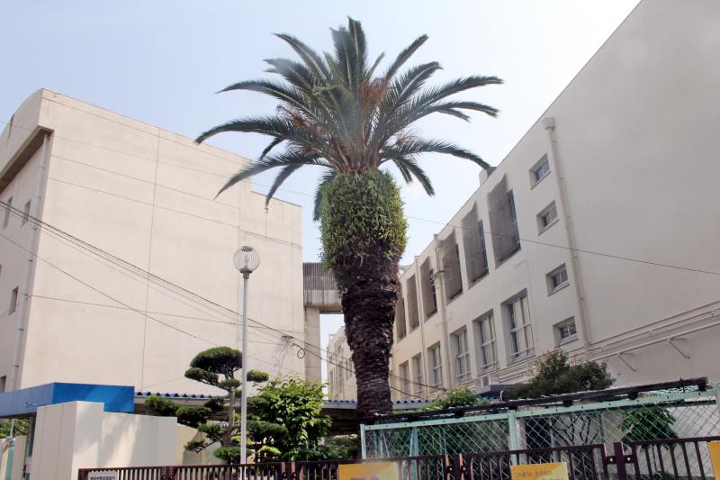 南住吉小学校／ホームメイト