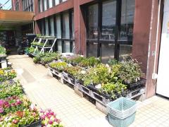 マーケットピア 口コミ マックスバリュ 裾野店