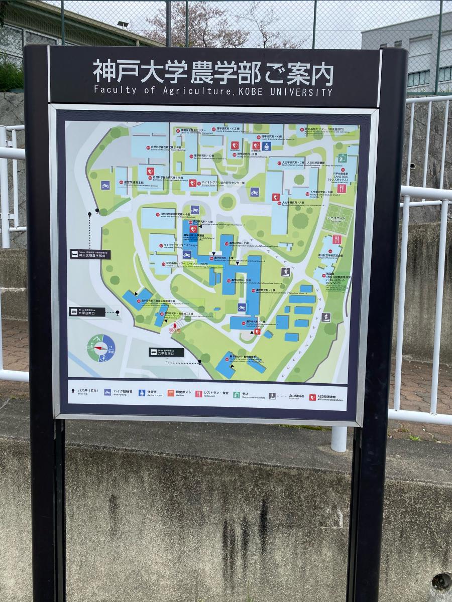 スタディピア 神戸大学六甲台第二キャンパス