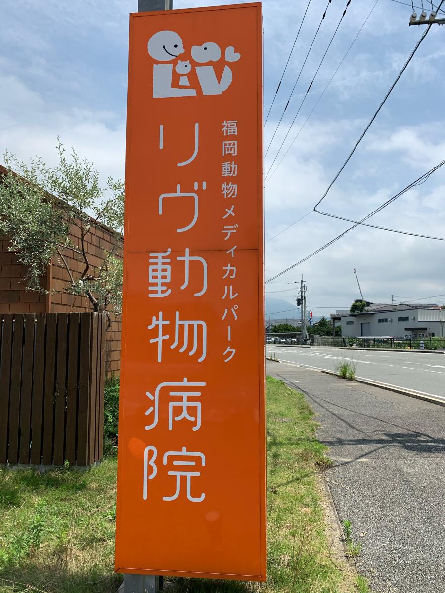 ドッグメディカル リヴ動物病院 糟屋郡須惠町 の投稿写真一覧 ドッグメディカル リヴ動物病院 糟屋郡須惠町 の投稿写真一覧