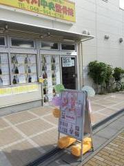 接骨ネット 接骨院 整骨院 八潮市 アクセスランキング 接骨ネット 接骨院 整骨院 八潮市 アクセスランキング