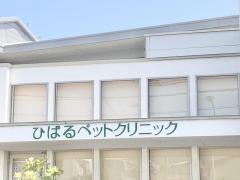 マーケットピア セブンイレブン 福岡檜原2丁目店 福岡市南区 の周辺施設写真一覧 1ページ マーケットピア セブンイレブン 福岡檜原2丁目店 福岡市南区 の周辺施設写真一覧 1ページ