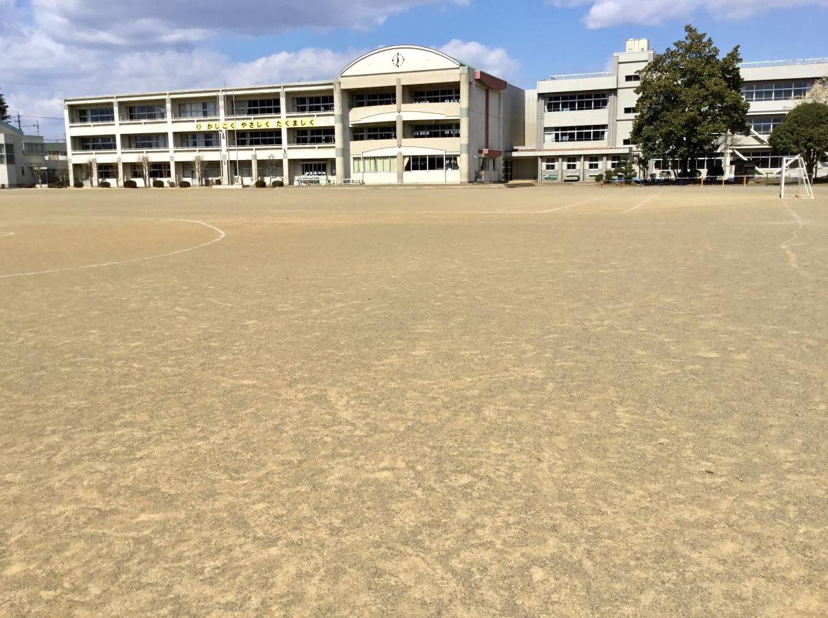【スタディピア】岡本小学校（宇都宮市）の投稿写真一覧