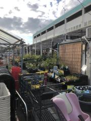 ユキサキナビ 阪神高速13号東大阪線 中野出入口 ｉｃ 東大阪市 の周辺施設写真一覧 1ページ