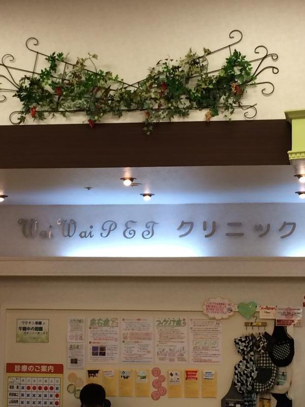 ドッグメディカル ワイワイペットクリニック石巻 石巻市蛇田