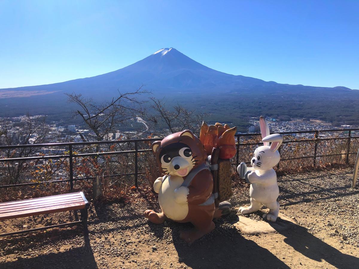 旅探 たびたん 天上山公園カチカチ山ロープウェイ 天上山公園カチカチ山ロープウェイへの口コミ