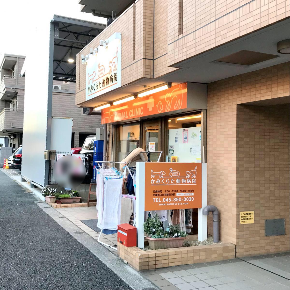 ドッグメディカル かみくらた動物病院 ドッグメディカル かみくらた動物病院