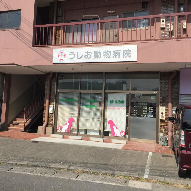 【ドッグメディカル】うしお動物病院（田辺市宝来町）