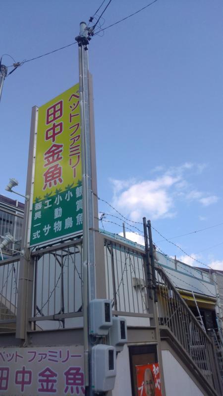 マーケットピア 田中金魚 豊橋市平川本町