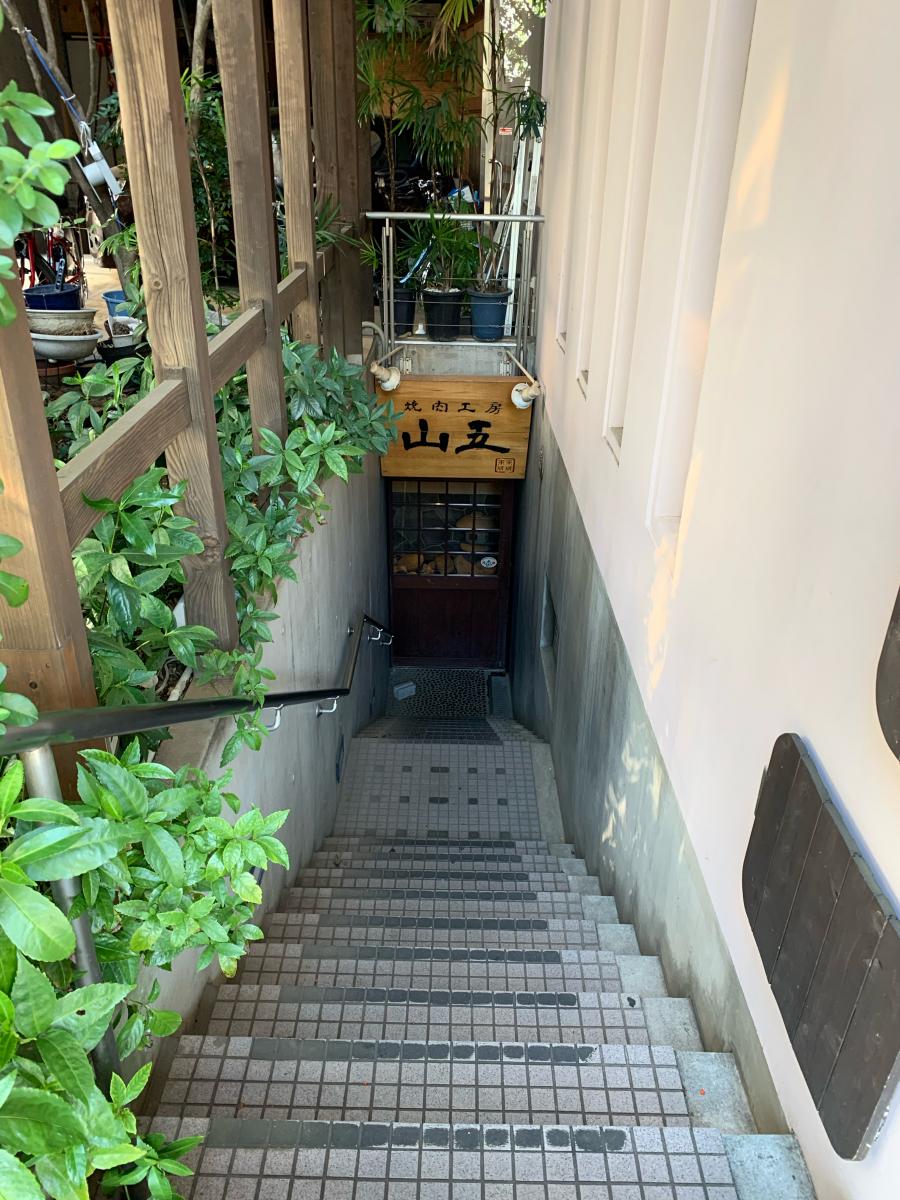 ドッグメディカル ペット家族動物病院 成城店 世田谷区 周辺施設 口コミ 写真 動画