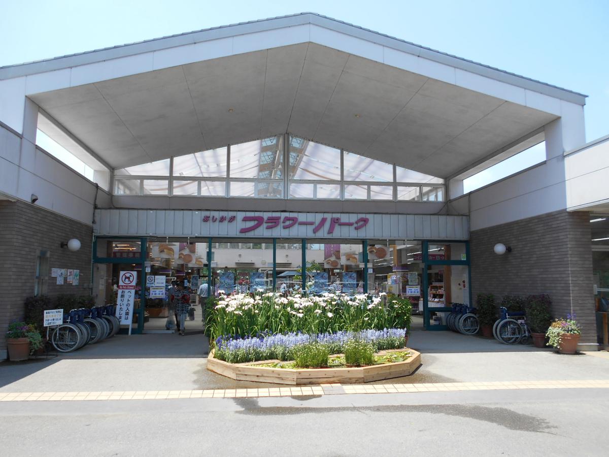 あしかがフラワーパーク