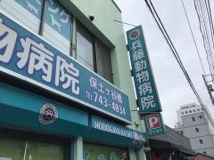 ドッグメディカル 横浜市の動物病院ランキング