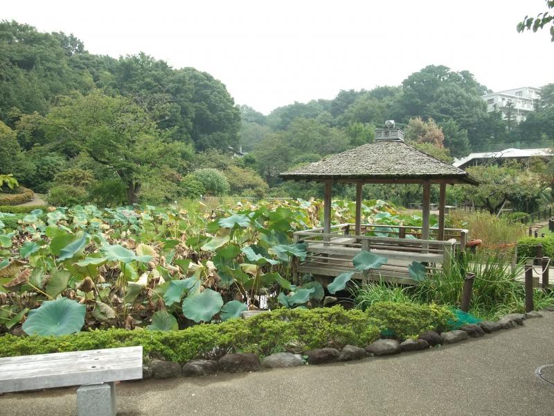 旅探 たびたん 馬場花木園 旅探 たびたん 馬場花木園
