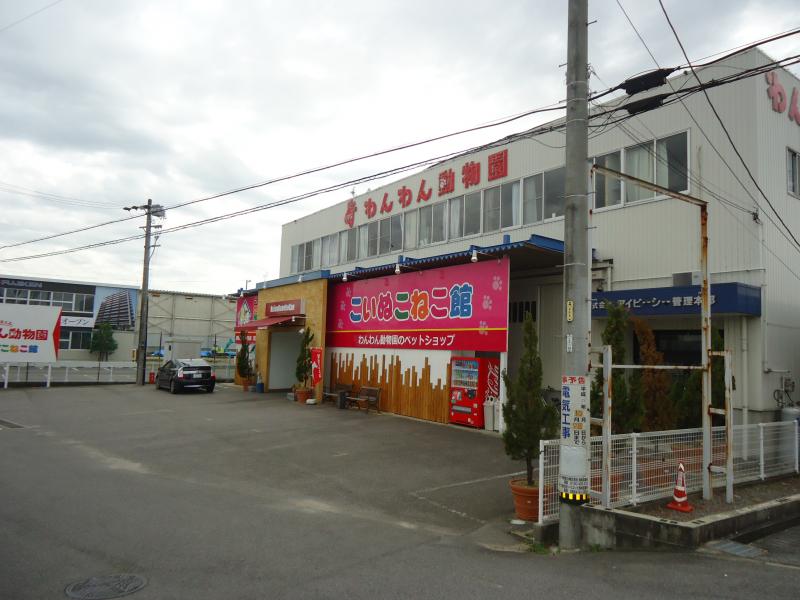 旅探 たびたん ｉｐｃわんわん動物園 岡崎市大平町