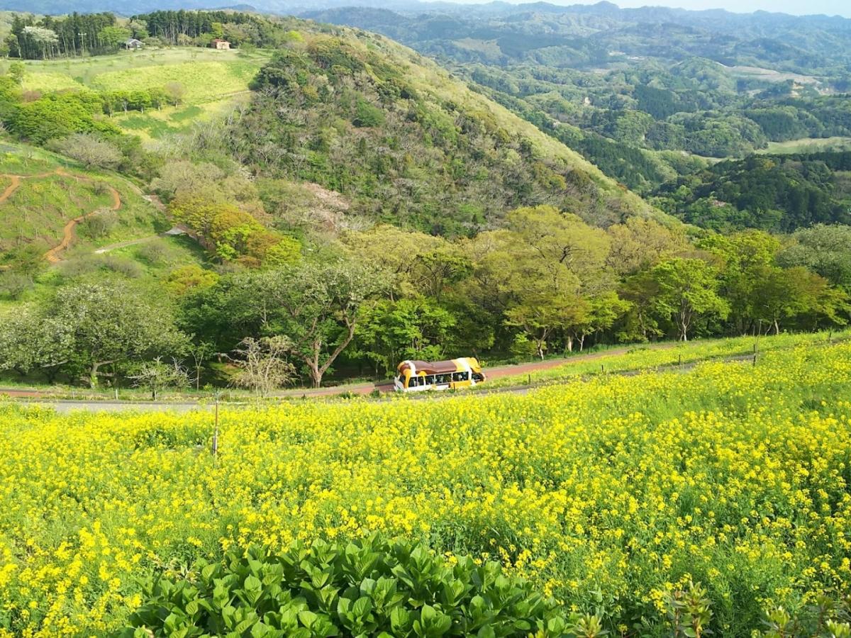 旅探 たびたん マザー牧場のコメント一覧 1ページ