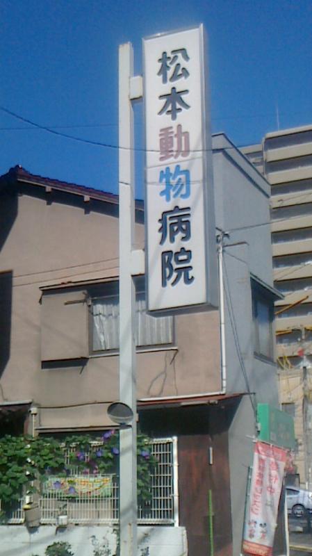 ドッグメディカル 松本動物病院 広島市中区住吉町