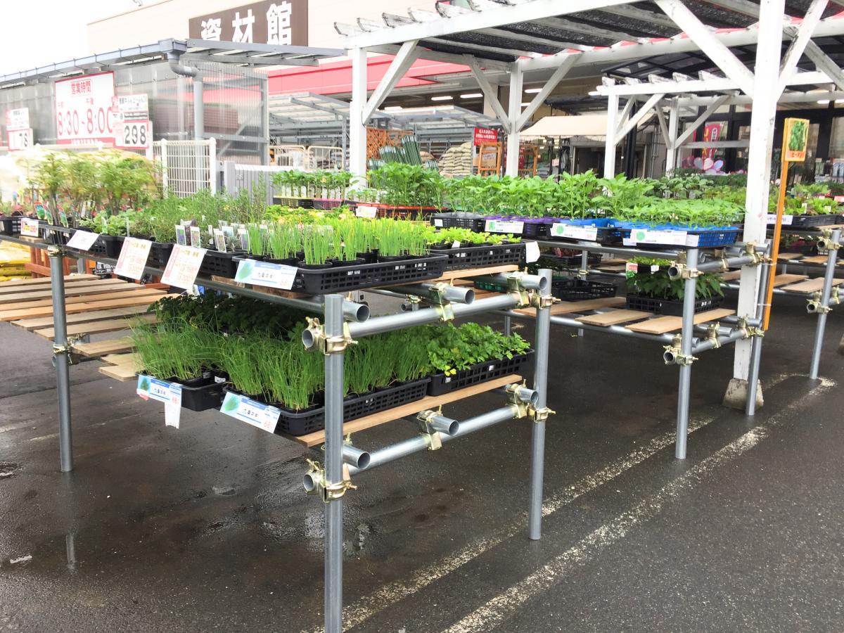 マーケットピア ホームセンタージュンテンドー 周南店 周南市道源町