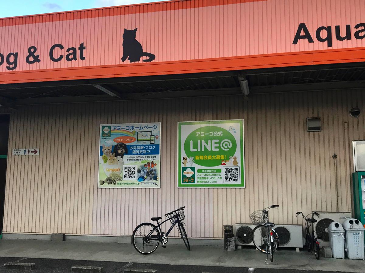 マーケットピア アミーゴ 高屋店 岡山市中区兼基