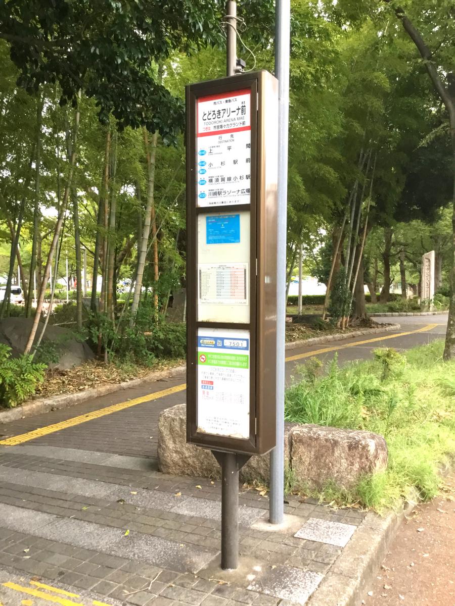 マーケットピア まいばすけっと とどろきアリーナ前店 川崎市中原区 周辺施設 口コミ 写真 動画