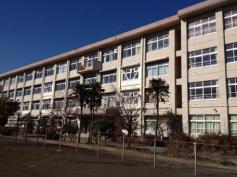 スタディピア 八王子市の中学校一覧 ホームメイト