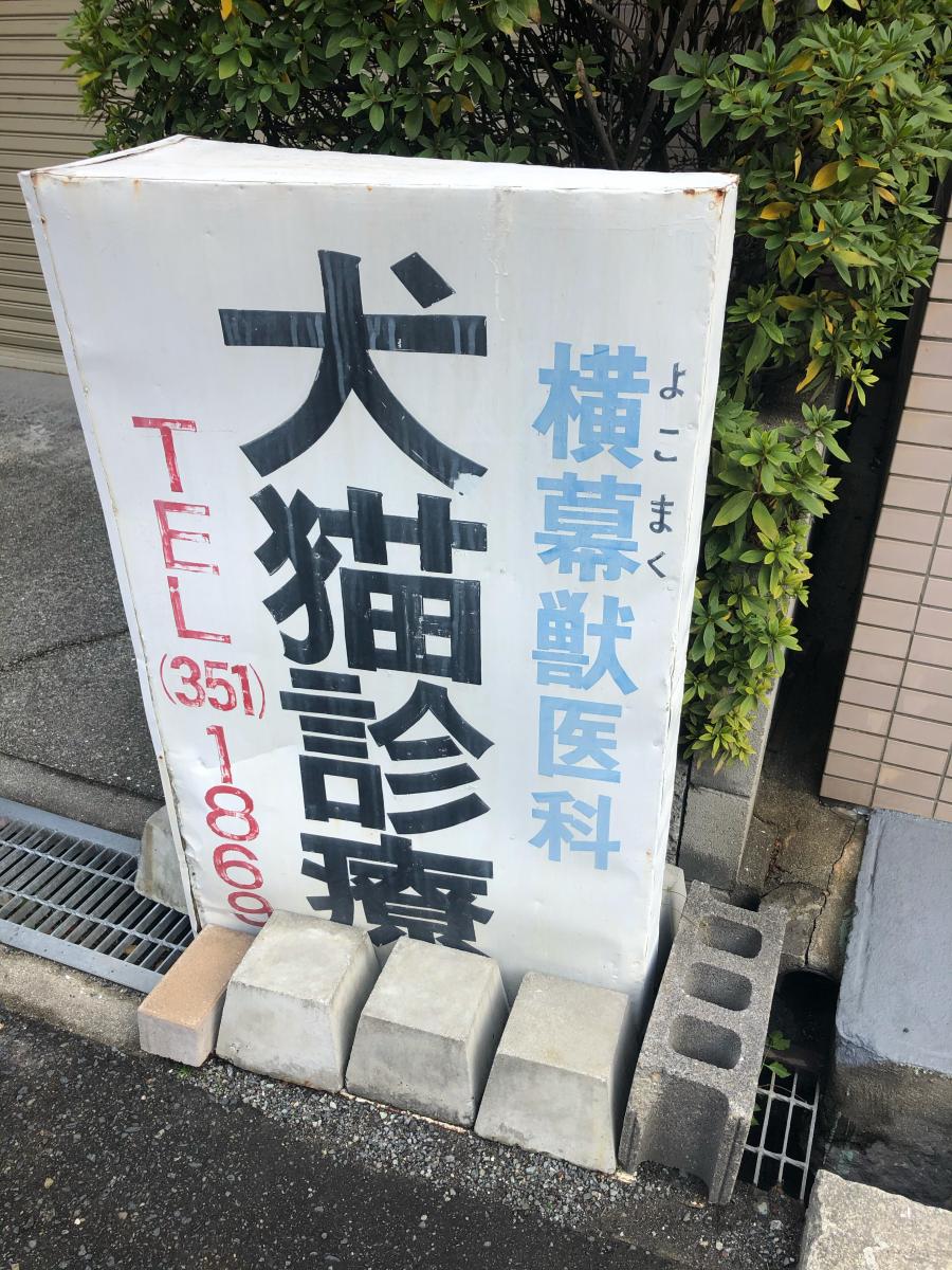 ドッグメディカル】横幕獣医科医院（神戸市中央区元町通）