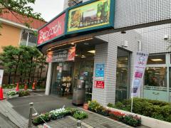 ユキサキナビ 桜新町駅 世田谷区 の周辺施設写真一覧 1ページ