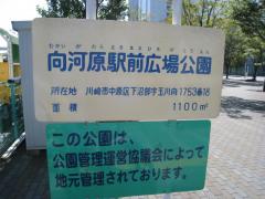 ホームメイト 周辺の生活施設情報 向河原駅前広場公園