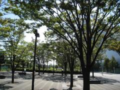 ユキサキナビ 周辺施設写真 向河原駅