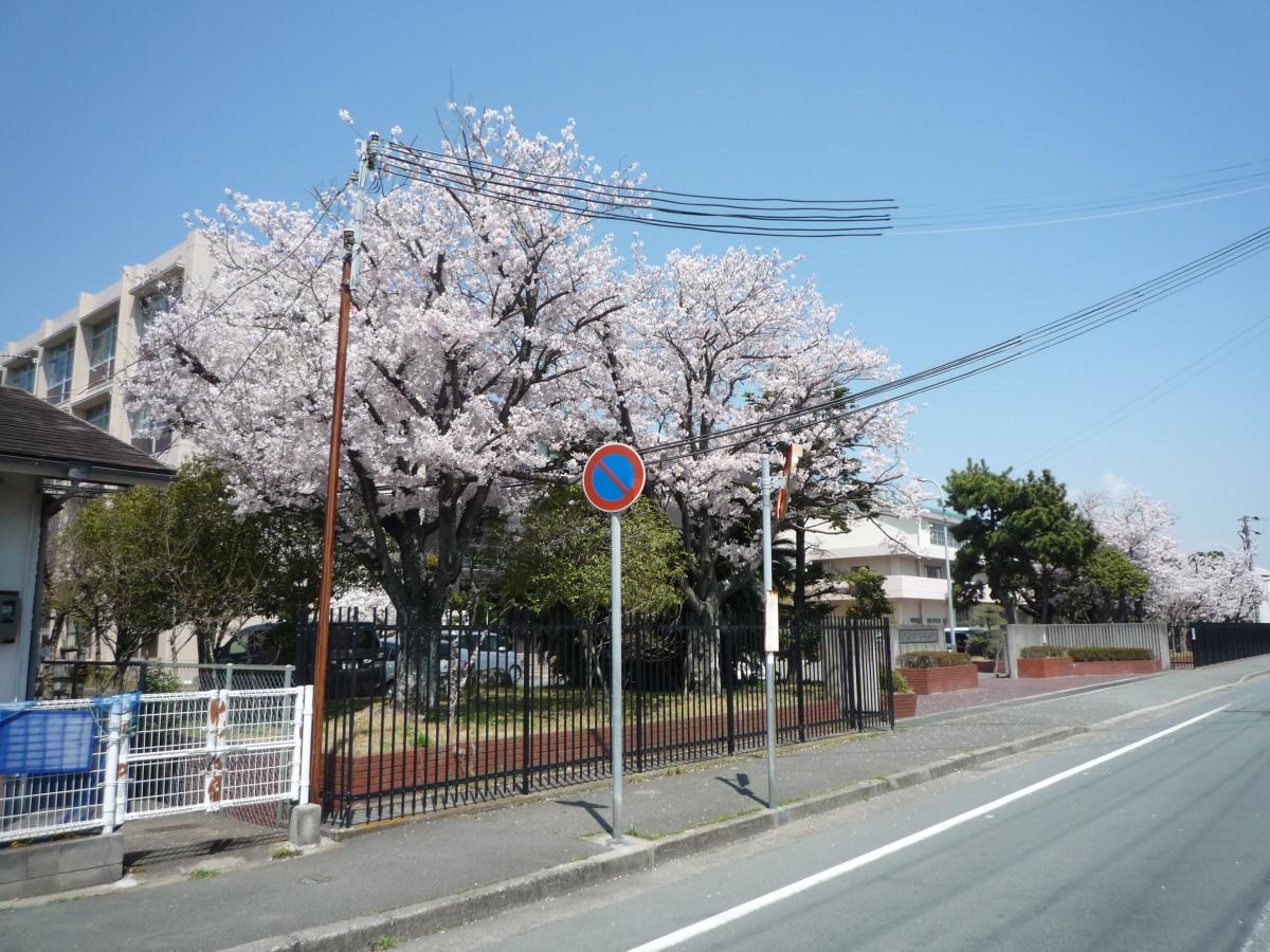 スタディピア 高砂南高校 高砂市西畑