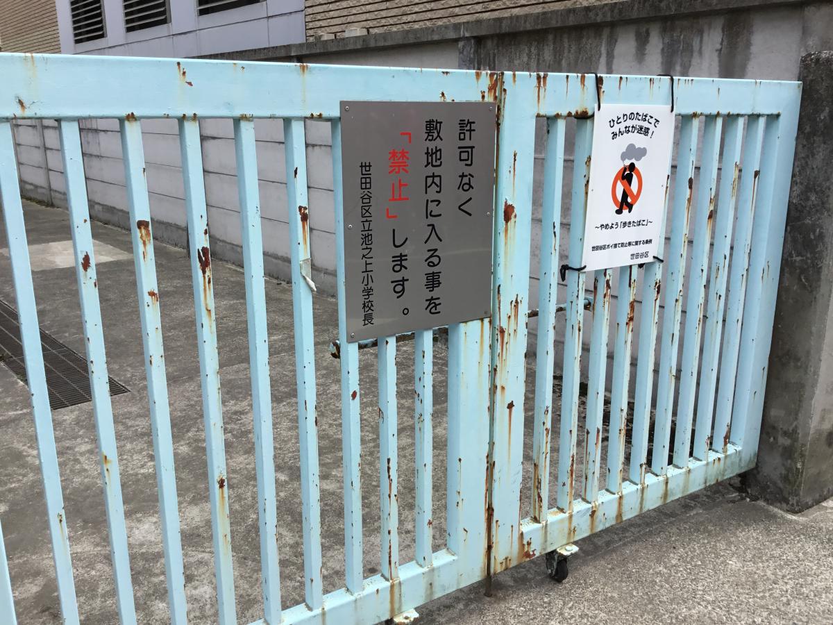 スタディピア 池之上小学校 世田谷区 の投稿写真一覧