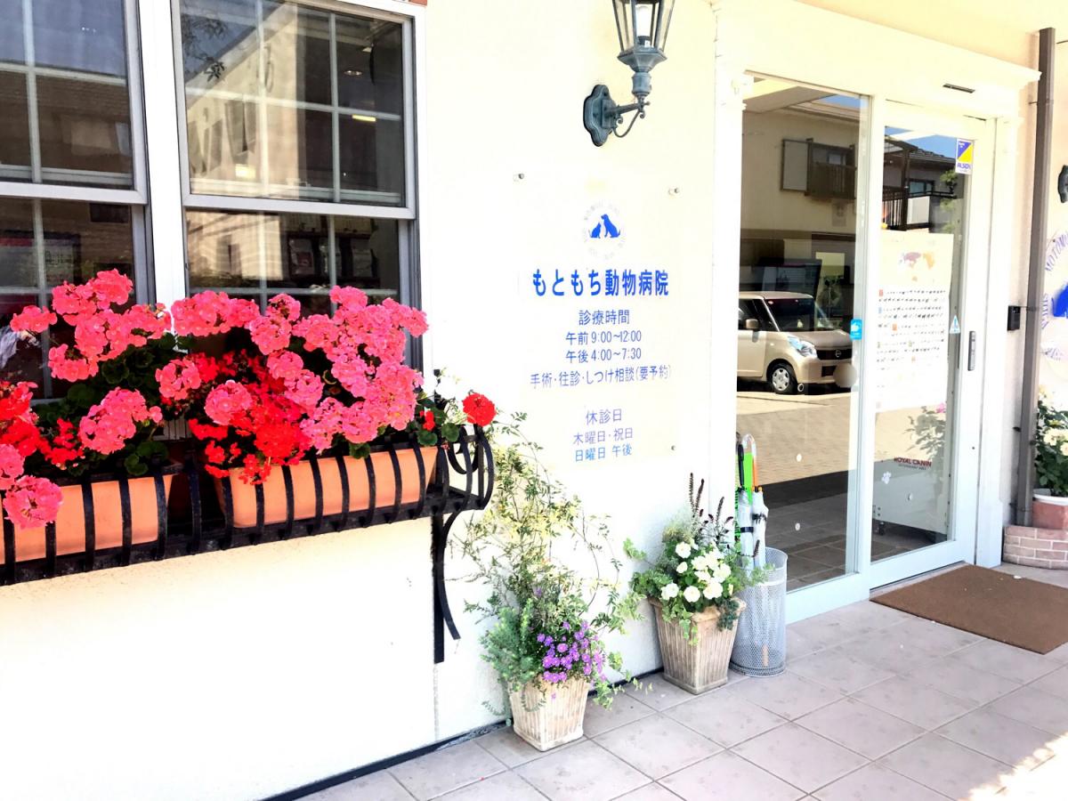 ドッグメディカル もともち動物病院 大津市唐橋町