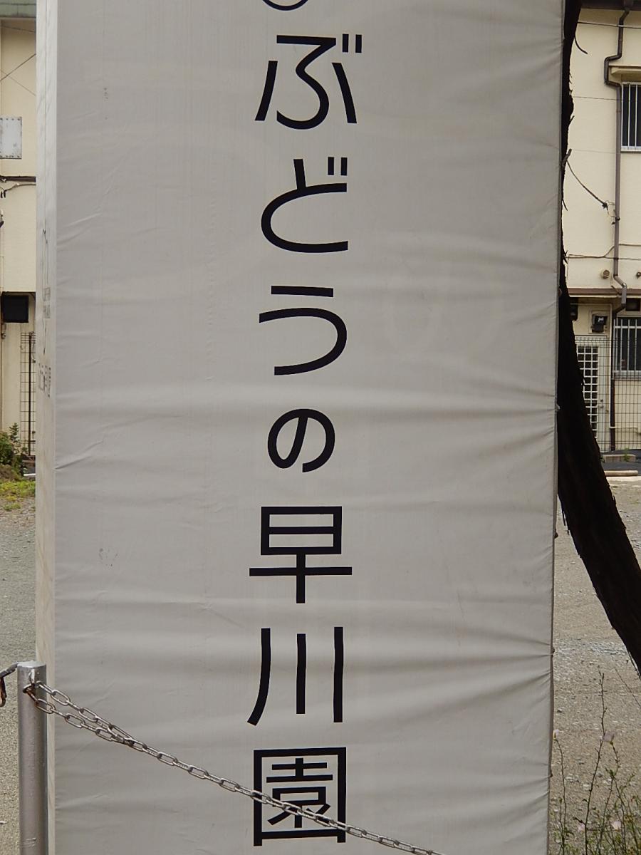 旅探 たびたん ぶどうの早川園 甲府市善光寺