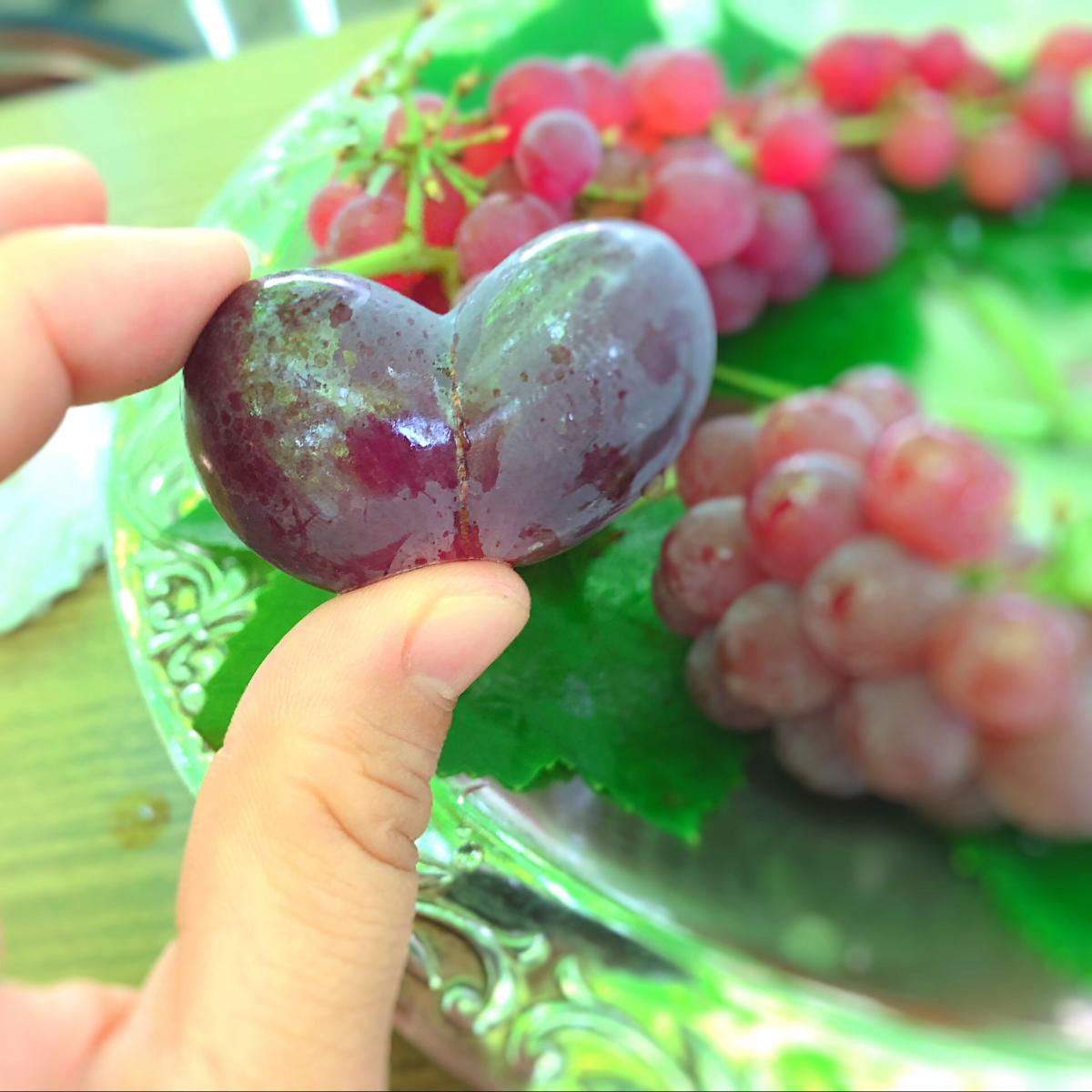 旅探 たびたん ぶどうの早川園 甲府市善光寺