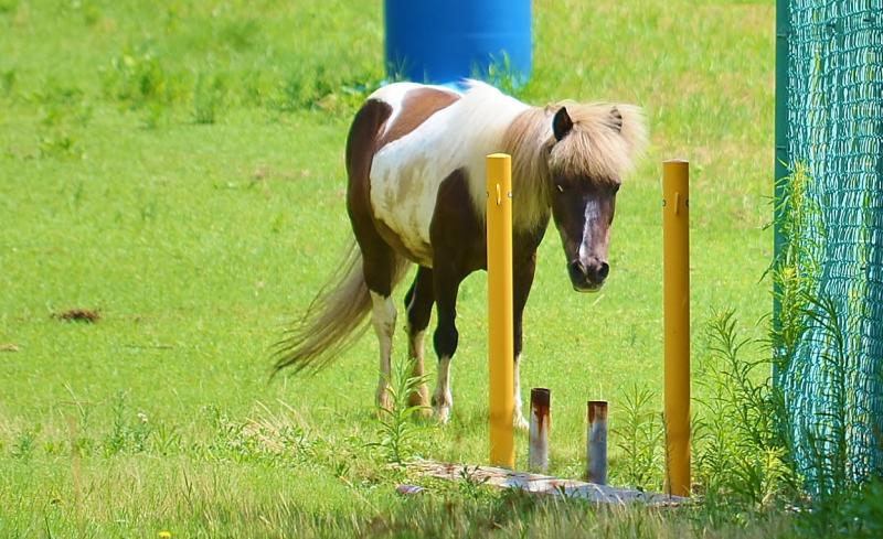 スタディピア 鶴城丘高校 西尾市亀沢町