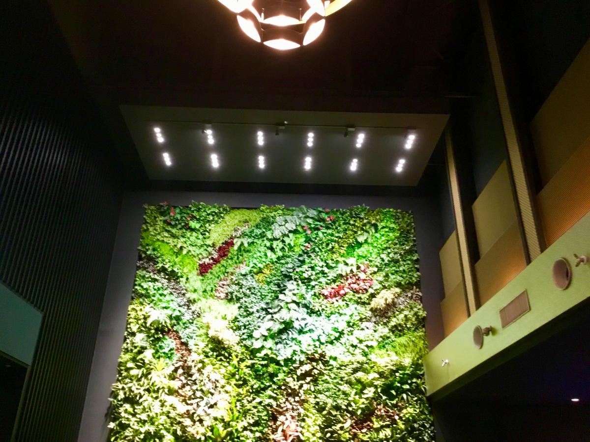 エンタメール シネマライカム 中頭郡北中城村その他の地域