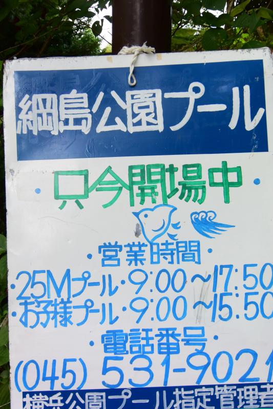 スポランド 綱島公園プール 横浜市港北区綱島台