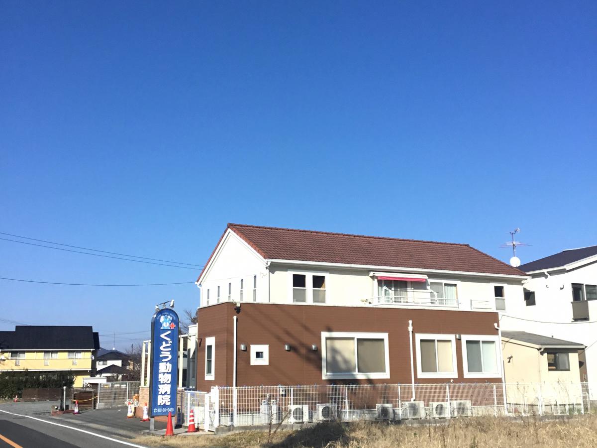 ドッグメディカル くどう動物病院