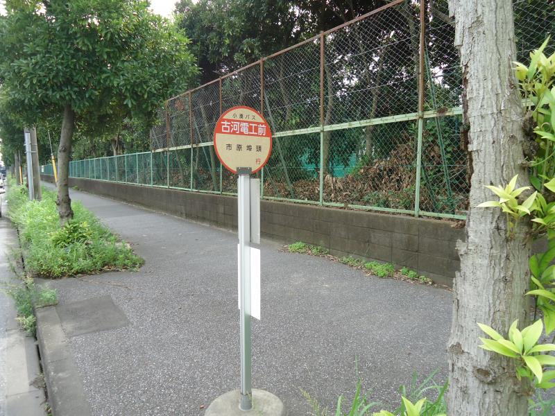 ユキサキナビ 小湊鐵道バス 古河電工前 バス停留所 市原市八幡海岸通