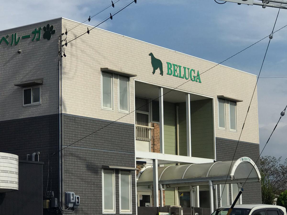 パブリネット 坪ノ谷公園 豊橋市 周辺施設 口コミ 写真 動画